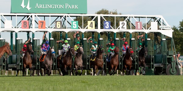 Turf eye view of a race start.